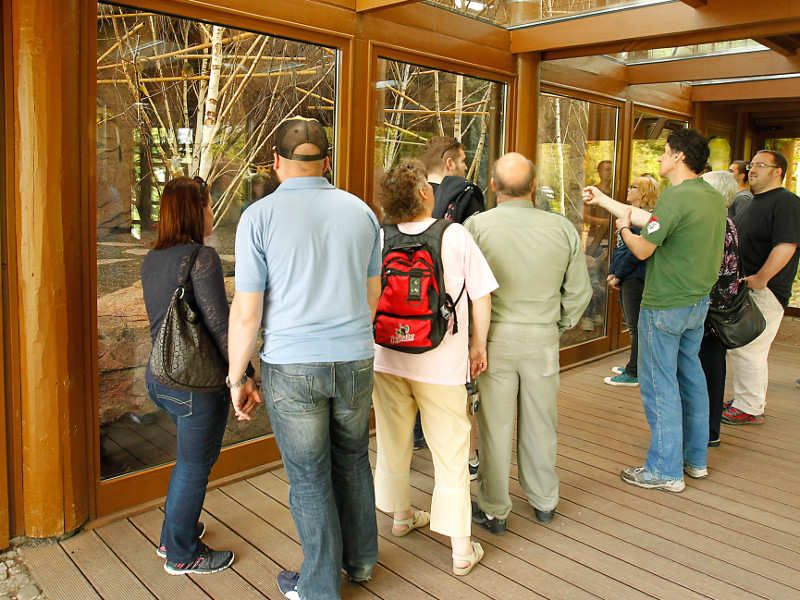 Gutschein – Große Bergzoo-Entdeckertour (90 min) - Image