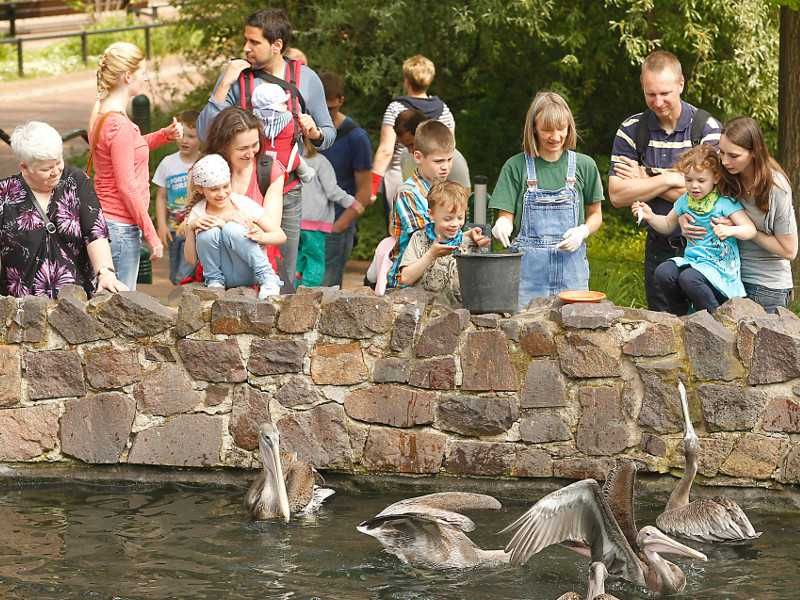 Gutschein – Kleine Bergzoo-Entdeckertour (60 min) - Image