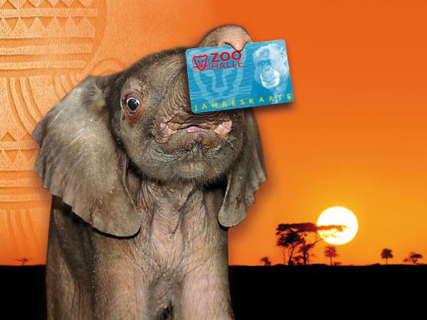 Jahreskarten-Gutschein - Image