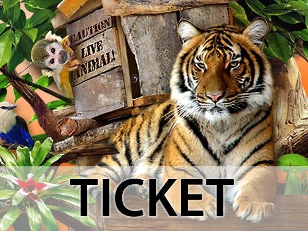 Tages-Ticket - Image