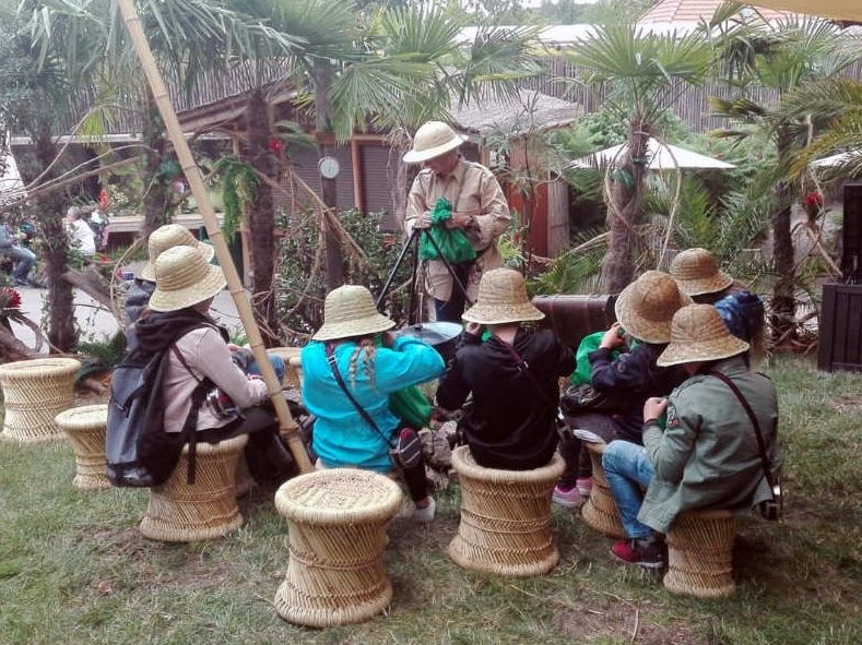 Kindergeburtstagsgutschein – Auf Dschungelexpedition im Regenwald (90 min) - Image
