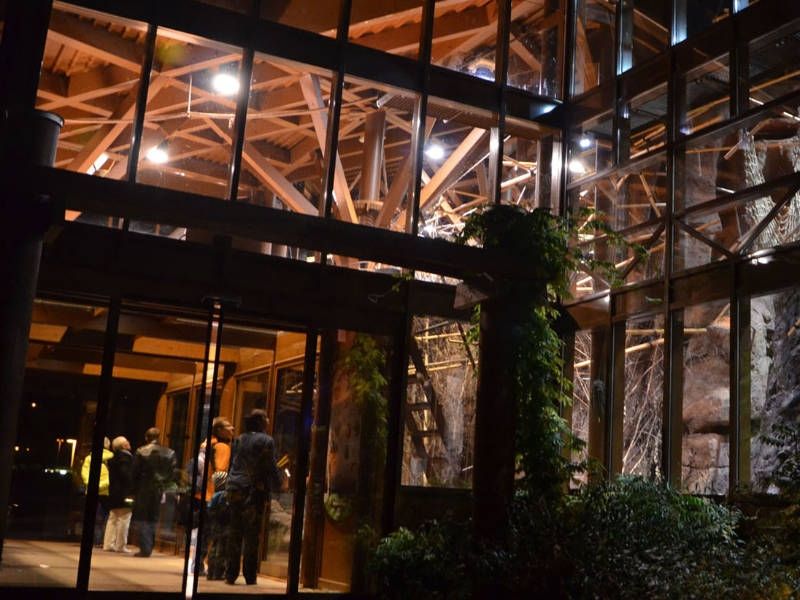 Gutschein – Zoo Exklusiv-Tour (120min) - Image