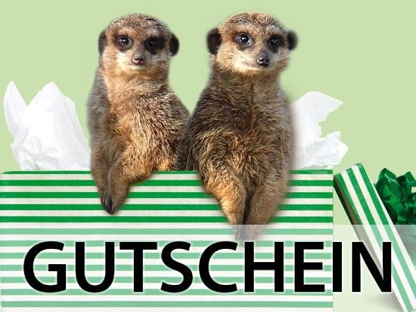 Zoo-Ticket-Gutschein - Image