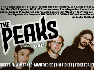 live: THE PEAKS - (The Voice Of Germany)